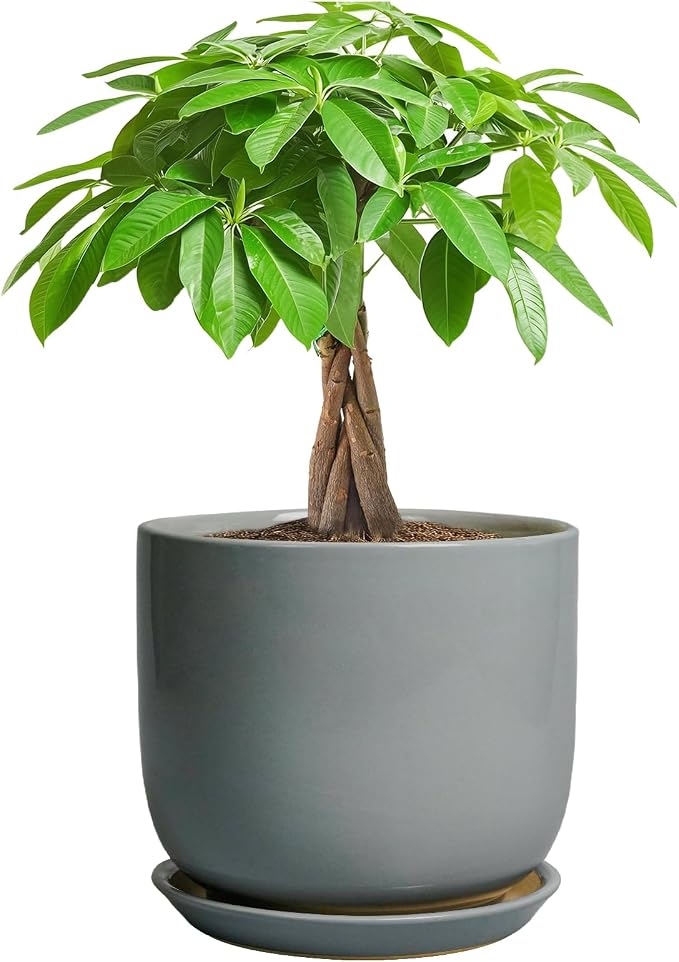 Indoor Planter 7 Inch - Round Ceramic Plant Pot for Cactus Orchid Plants with Drainage Hole and Saucer, Home Outdoor Patio Office Decor, Gray