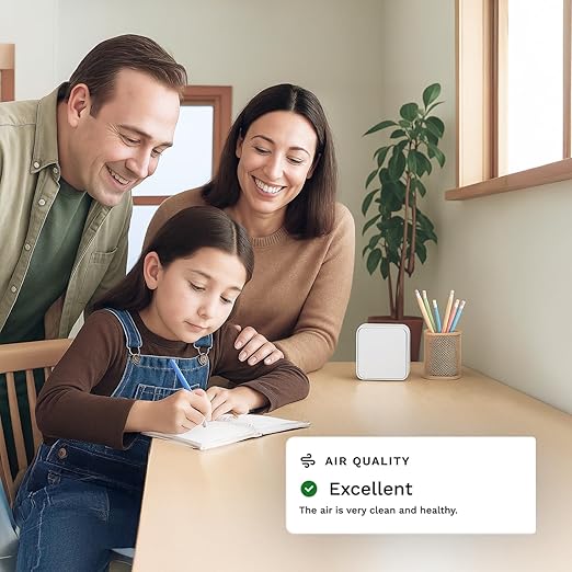 Layla Eco Air Quality Sensor & Air Quality Monitor Indoor – Smart Indoor Air