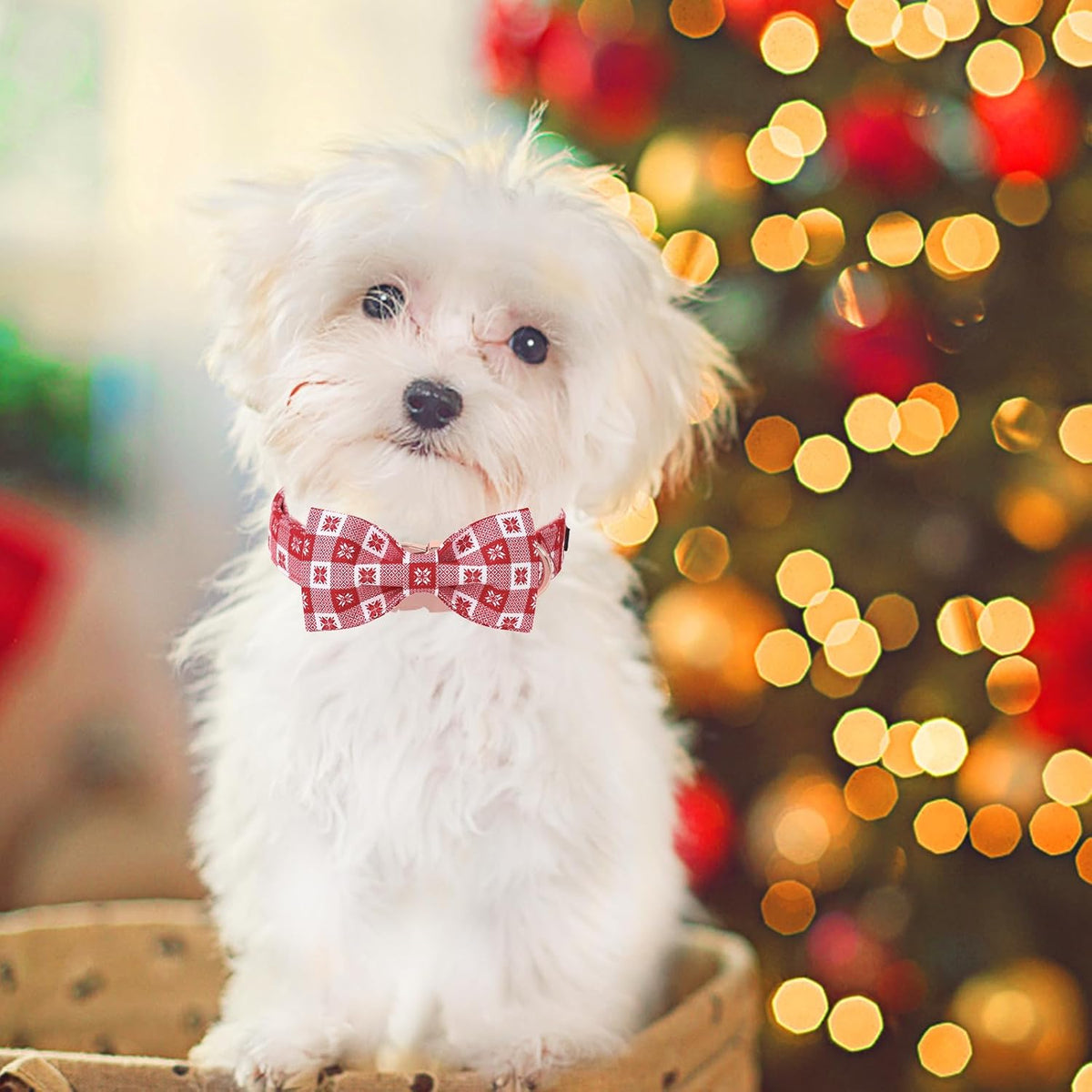 Unique Style Paws Christmas Day Dog Collar with Bow Christmas Red Papercut Cotton Puppy Collars for Small Medium Large Dogs