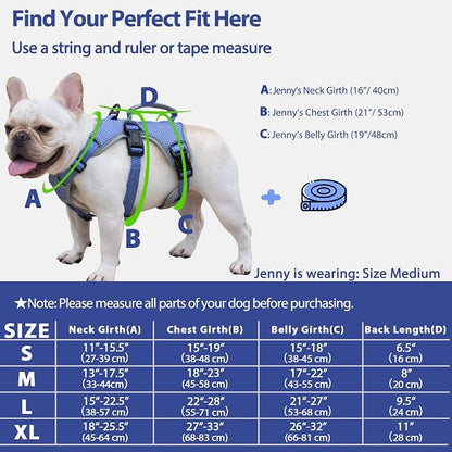 Escape Proof Dog Harness, Dachshund Harness, Reflective Dog Harness with Handle, Durable,Adjustable Vest for Small Medium Large Dogs Walking, Training, and Running Gear (Technicolor Blue,L)