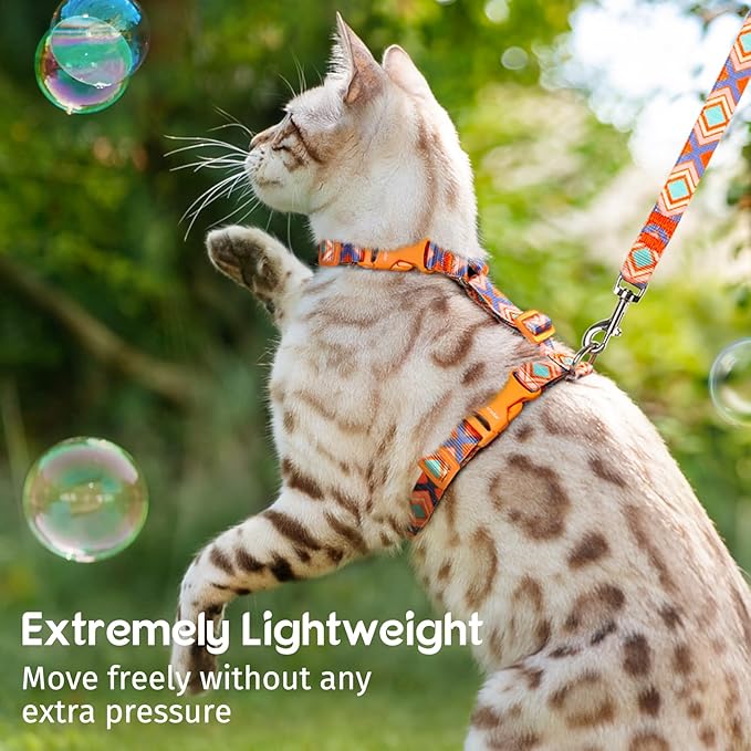 Dooradar Cat Harness and Leash, Escape Proof Adjustable Kitten Vest, Lightweight Soft Pet Straps, Easy Wearing for Small Medium Kitty Safe Walking Travel Control, Orange & Blue, M