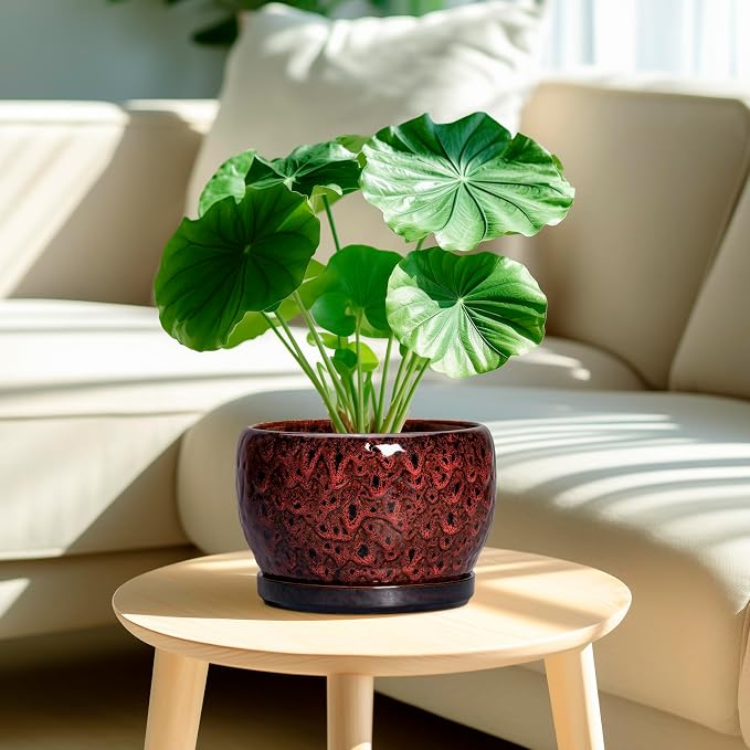 SQOWL Ceramic Plant Pots - 8 inch Planter with Drainage Hole and Tray, Round Ceramic Planter for Indoor Outdoor, Modern Decorative Flower Pot, Home Room House Decor, Plant Lovers Gifts, Red