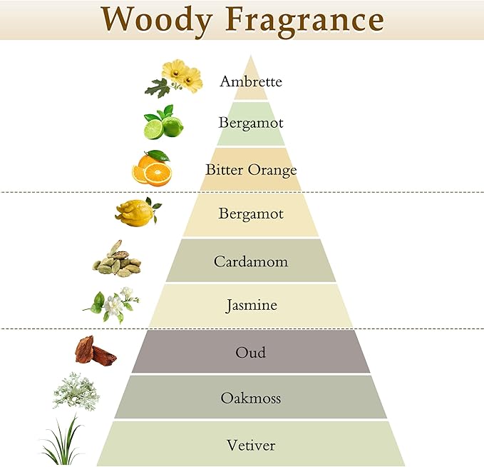 XEPTLE Reed Diffuser Set, 7.04 oz Oud & Bergamot Scent Diffuser