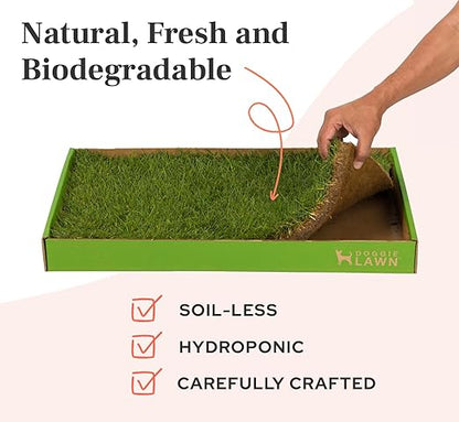 DoggieLawn Real Grass Dog Pee Pads w/ Tray - Standard Dog Potty Pad 24x16 | No-cleaning, odor-reducing puppy potty training pad for housebreaking, indoor or outdoor use, real grass, replace when needed