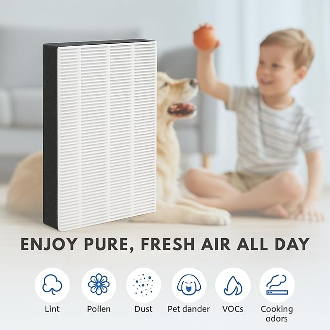 Nispira F1 C01 T02 HEPA Replacement Filter