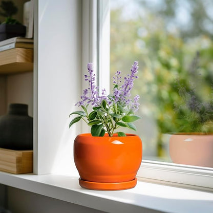 SQOWL Ceramic Plants Pots - 6 Inch Planter Indoor with Drainage Hole and Plant Saucer, Modern Round Planter Outdoor, Decorative Succulent Pot, Home Decor, Housewarming Gifts, Orange
