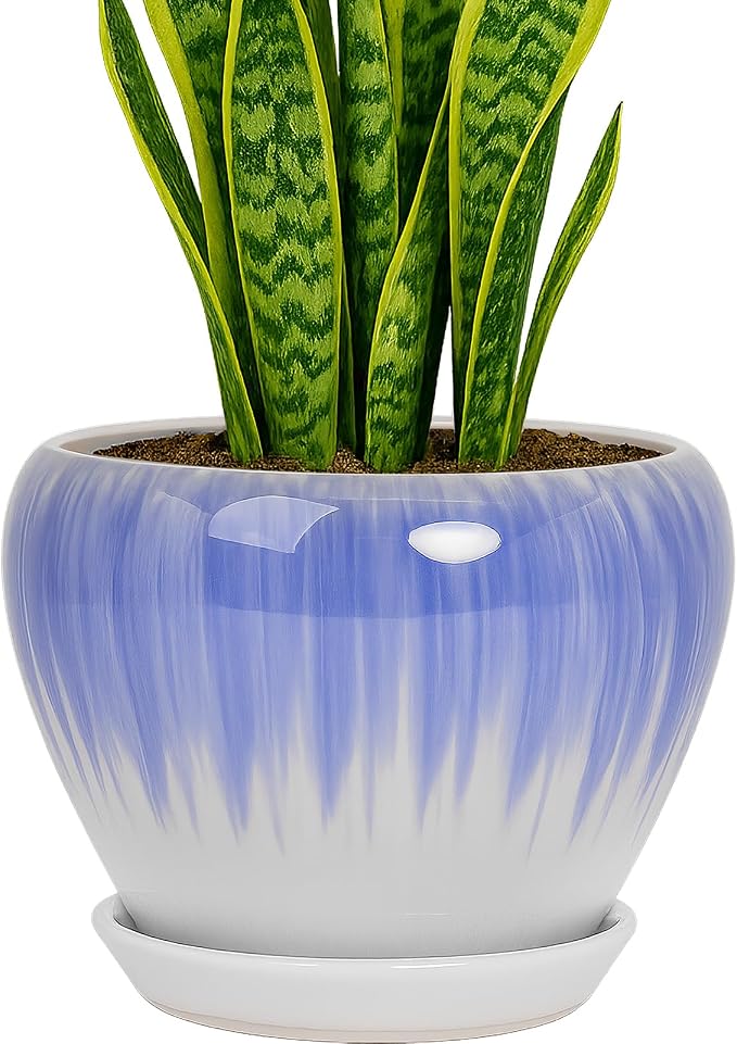 Deep Dream 8 Inch Plant Pots- Ceramic Pots for Plants with Drainage Hole and Saucer, Large Planter Pot for Indoor Plants Outdoor Decor, White&Blue