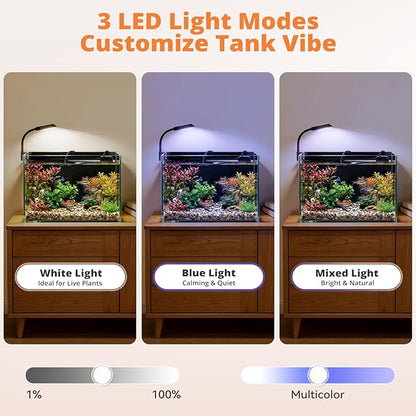 2.5 Gallon Small Fish Tank, Nano Aquarium with Heater, Ultra-Clear Glass, LED Light, Filter, Lid, Gravel and Rock, Desktop Beta Fish Aquarium Perfect for Shrimp, Snails or Live Plants