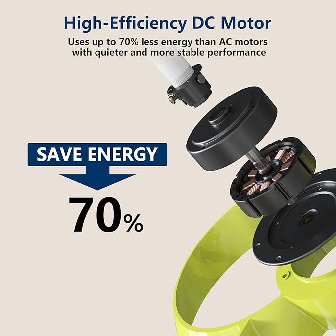 FANX 22 Inch Ceiling Fan with Light and Remote, Quiet DC Motor, Dimmable LED