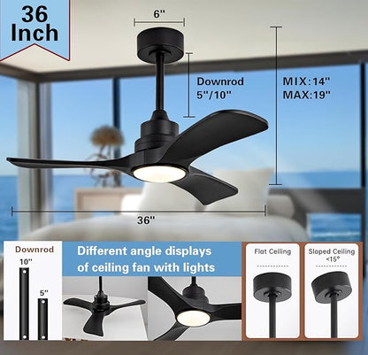 Gaizw 36 Ceiling Fans with Lights, Small Ceiling Fan with Light and Remote