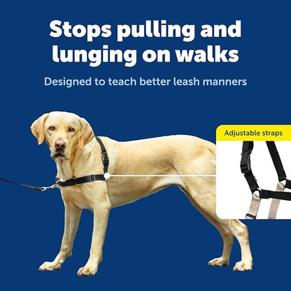 PetSafe Easy Walk Harness for Dogs - Pull-Free Walks - Patented Martingale Loop Design - Front Chest Leash Attachment - Adjustable Comfort Straps - Breathable Harness Design - Large, Black/Silver | Patented Martingale Loop Gives Gradual Shoulder Pressu...