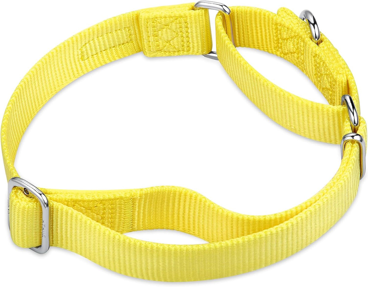 Hyhug Pets Premium Upgraded Heavy Duty Nylon Anti-Escape Pup Martingale Collar for Boy and Girl Dogs Comfy and Safe - Professional Training, Daily Use Walking. (Small, Illuminating Yellow)