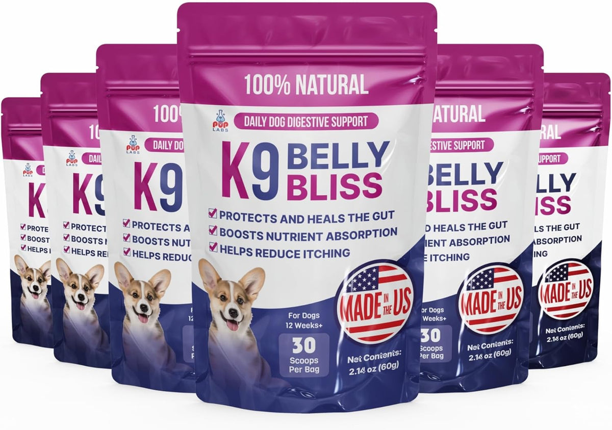K9 Belly Bliss, All-Natural Gut Health for Dogs, Vet Approved Prebiotic for Dogs for Daily Digestive Support & Dog Constipation Relief, Topper for Dry & Wet Food, 6 Pack with 30 Scoops Each.