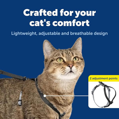 PetSafe Come With Me Kitty Harness and Bungee Leash, Harness for Cats, Medium, Black/Silver, CWMK-M-BLK | Adjustable 2-Point Fit Applies Gentle Pressure to Shoulders, Not Neck, for Small & Average Cats with 10.5 in - 14 in Girth