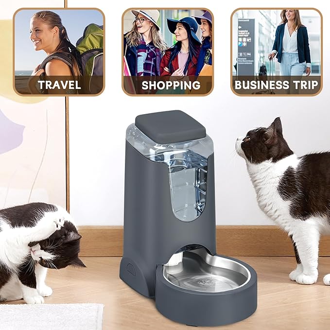 Automatic Cat Feeder and Water Dispenser
