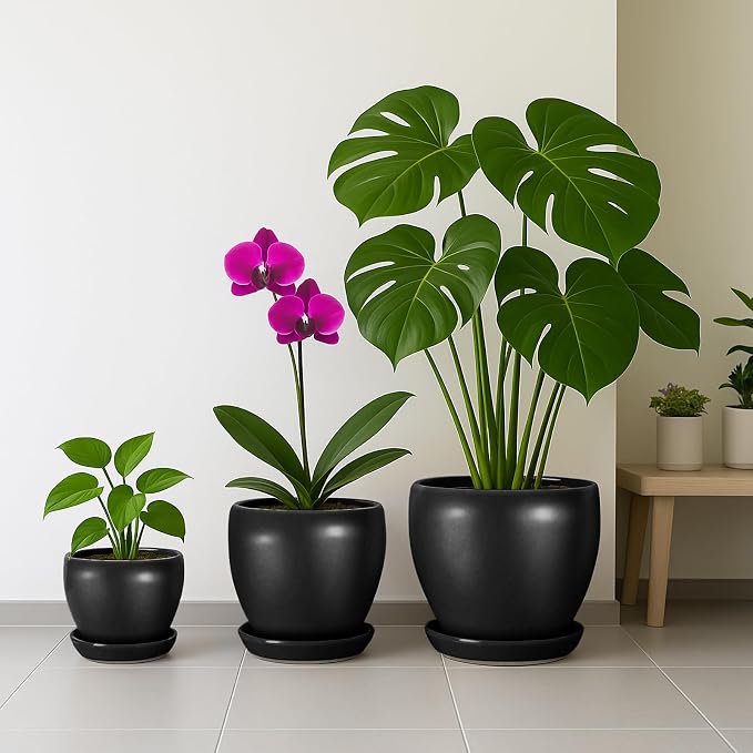 Deep Dream 10 Inch Plant Pot- Ceramic Planter Pot Round Plant Pots for Indoor Plants Outdoor Large Flower Pot with Drainage Holes & Trays, Black