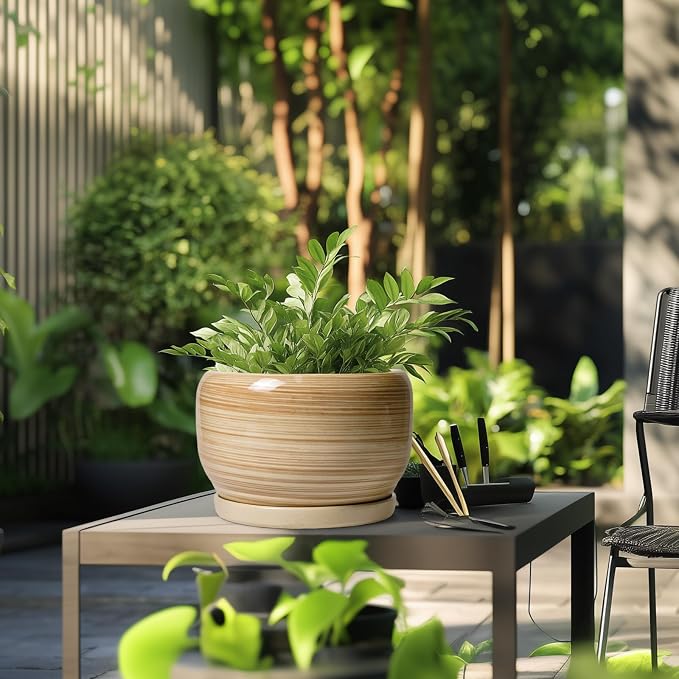 SQOWL Ceramic Plant Pot - 10 Inch Large Planter with Drainage Hole and Saucer, Round Modern Planter for Indoor Plant Outdoor, Decorative Ceramic Flower Pot, Porch Decor, Garden Gift for Women, Yellow