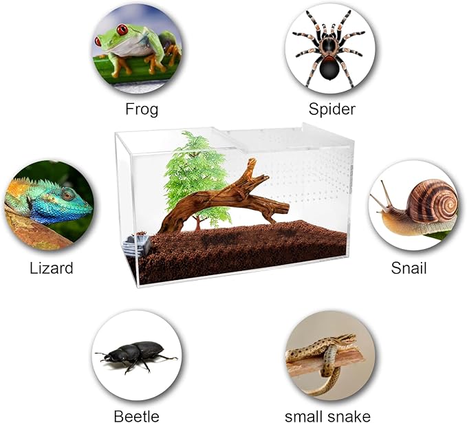 NANEEZOO Acrylic Reptile Terrarium Enclosure, 14”x6”x8” Tarantula Enclosure with Magnetic Sliding Door, Breeding Box for Arboreal Reptiles, Amphibians, Mantis, Spiders, Cricket & Other Invertebrates