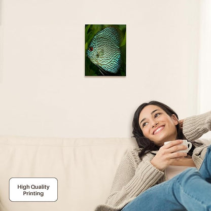 3dRose Blue Exotic Discus Fish Museum Grade Canvas Wrap 8x10