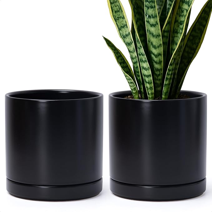 D'vine Dev Set of 2 Plants Pots, 8.2 Inch Ceramic Planter Pot for Plants with Drainage Hole and Saucer, Black, 94-V-D-2