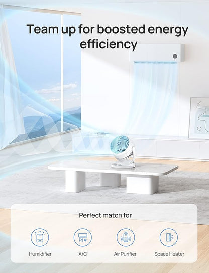 Dreo Fan for Bedroom, 12 Inches, 70ft Powerful Airflow, 28db Quiet Table Air