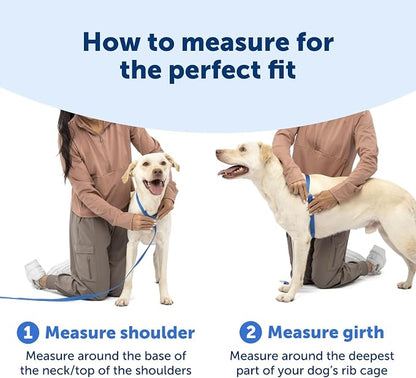 PetSafe Easy Walk Comfort No Pull Dog Harness, Green Gingham, Large | Stops Pulling on First Use with Front Martingale Loop, Padded Comfort, 5-Point Adjustable Fit