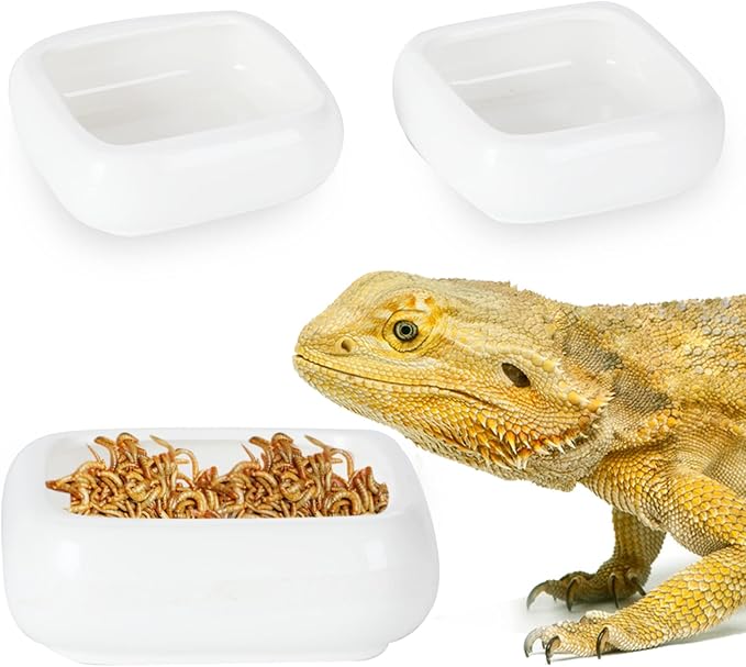 Reptile Food Bowls Ceramic Square Reptile Water Food Dish, Pet Food Bowl for Lizards, Young Bearded Dragons, Small Snakes, Gecko Tortoise Spider (White, Large-2Pack)