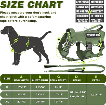 Service Dog in Training Vest and Leash Set with 10 Patches,Heavy Duty Tactical Dog Harness with Metal Buckles for Medium Sized Dogs,No Pull Easy Walking for Training Working Hiking,Green M