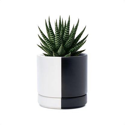 D'vine Dev 4.7 Inch Ceramic Planter Pot, Black White Split, 94-O-B-0 | Modern Cylinder Design, Drainage Hole & Saucer Included, Stable Structure, Elegant Home Accent