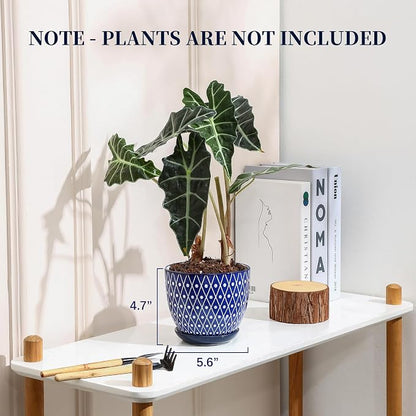 Selamica Ceramic Plant Pots, 5.6 Inch Flower Pots for Indoor Plants with Drainage Hole and Saucer,Home Decor, Set of 4, Vintage Blue