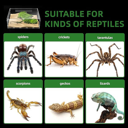 Micro Habitat Terrarium Enclosure, 6x11x16 inch Jumping Spider Enclosure with Locking Latch for Small Tree Dwelling Reptiles,Tarantula, Amphibians, Spiders,Invertebrates