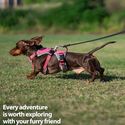 Escape Proof Dog Harness, Dachshund Harness, Reflective Dog Harness with Handle, Durable,Adjustable Vest for Small Medium Large Dogs Walking, Training, and Running Gear (Rose red,S)
