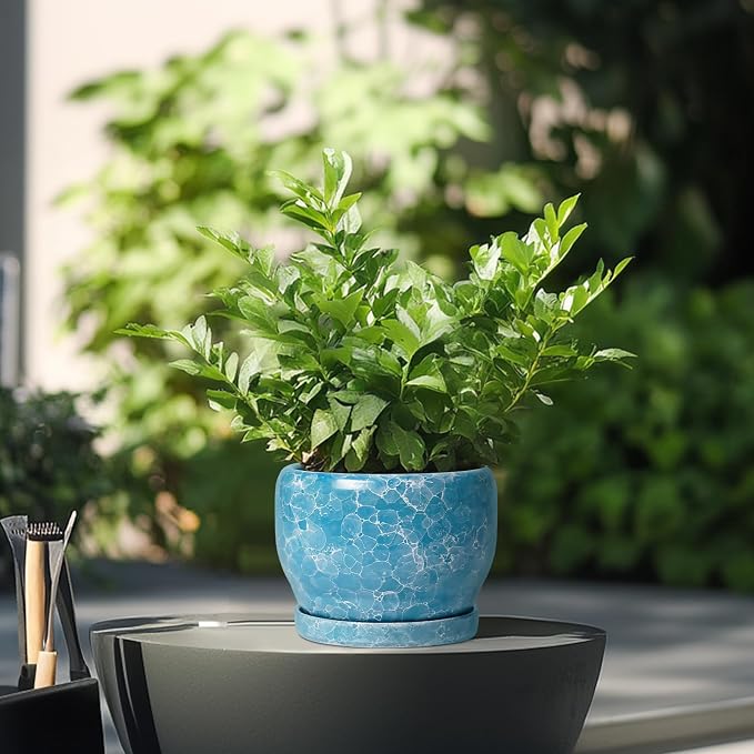 SQOWL 6 Inch Plant Pot - Ceramic Indoor Planter with Drainage Hole and Saucer, Decorative Ceramic Flower Pot Outdoor, Round Succulent Planter, Home Office Room Decor, Gifts for Plant Lovers, Blue