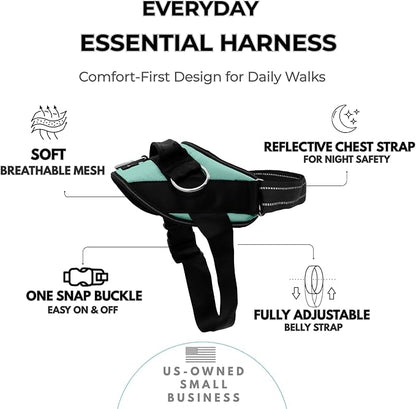 ShawnCo Essential Dog Harness, No-Pull Pet Vest (Seafoam,M) | 3 Leash Clips, Easy On, No-Choke, Reflective, Adjustable Fit, Padded Comfort, Control Handle, For Small, Medium & Large Dogs