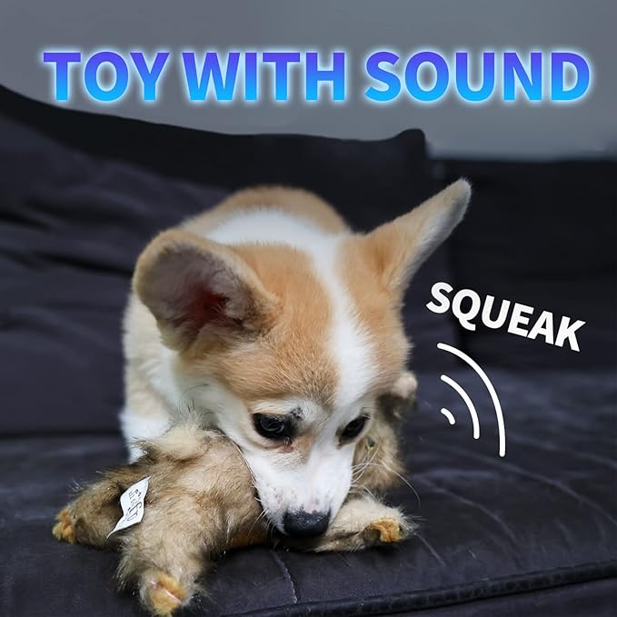 ALL FOR PAWS Squeaky Dog Toys, Dog Stuffed Animal Toys, Plush Toy for Small Medium Large Dogs, Puppy Chew Toy with Squeaker, Brown Rabbit-S