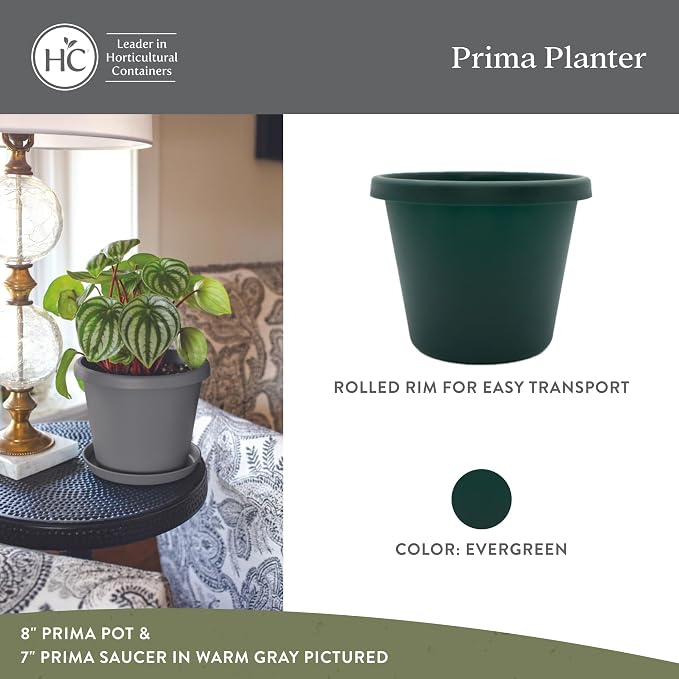 The HC Companies Prima Round Plastic Plant Pot w/Rolled Rim - Lightweight & UV Resistant Flower Pot for Herbs & More - Outdoor & Indoor Plant Pots w/Drainage (12 inch, Evergreen, Pack of 1)