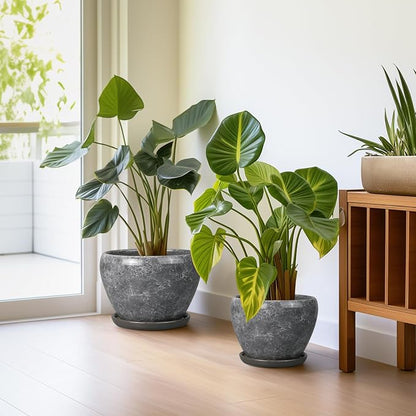 Ceramic Planters - 10 Inch 8 Inch 6 Inch Round Decorative Plant Pots with Drainage Holes and Saucers for Indoor Outdoor Flower, Room Home Apartment Decor, Gift for Women Men, Set of 3, Grey