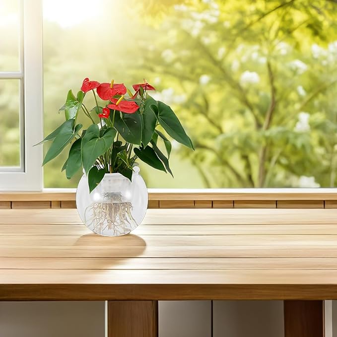 BESTonZON Desktop Betta Fish Bowl Hydroponic Planter with Plastic Round Aquarium 110c Medium Size for Living Room Table Micro Landscape