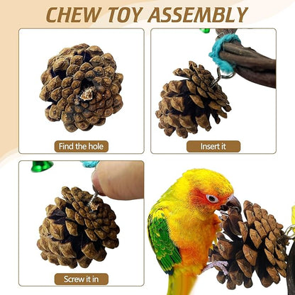 BNOSDM Bird Swing Rings Toy Natural Wood Parrot Climbing Ladder Parakeet Chewing Toys Hanging Budgie Cage Accessories for Green Cheek Conure Cockatiel Lovebird (5 Rings)