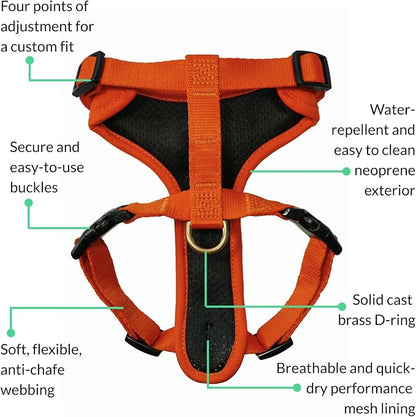 Adventure Dog Harness - Stylish, & Durable Small Dog Harness for Outdoor Adventures and Everyday Wear - Sunset Orange Neoprene Adjustable Harness for Dogs with Reflective Piping & Brass D-Ring