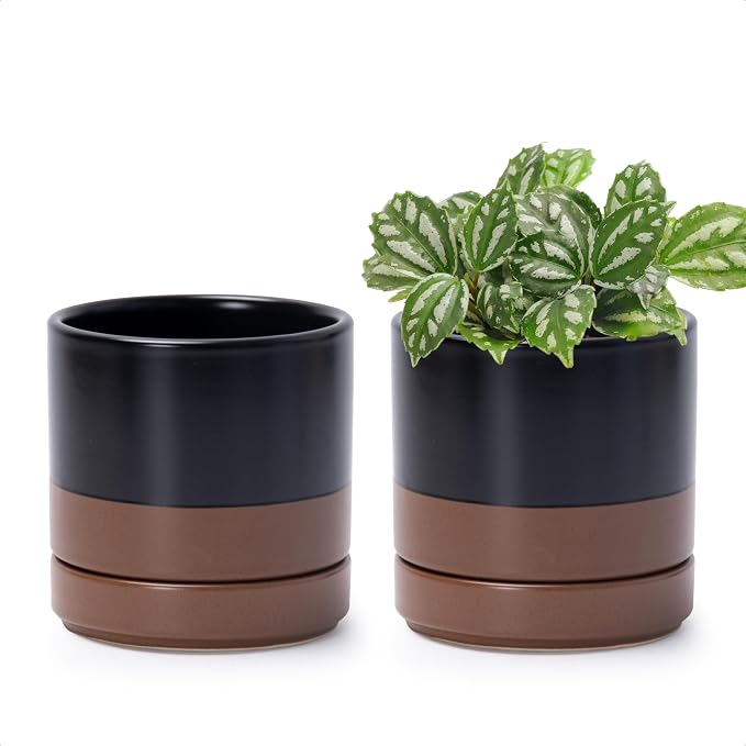 D'vine Dev Set of 2 Plants Pots, 4.7 Inch Ceramic Planter Pot for Plants with Drainage Hole and Saucer, Black/Speckled Tan, 94-V-B-7