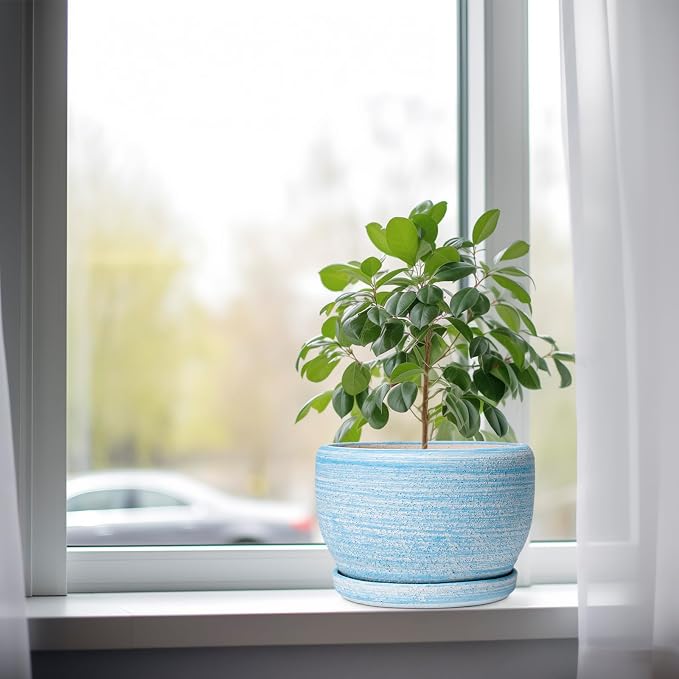 SQOWL Ceramic Planter - 8 inch Pot for Plants Indoor Outdoor, Modern Ceramic Flower Pot with Drainage Hole and Saucer, Decorative Round Planter, Home Office Decor, Plant Lovers Gifts, Blue
