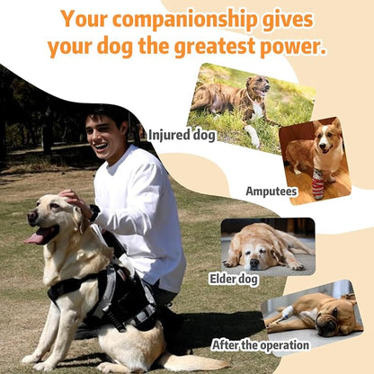 Dog Lift Harness for Large Dogs,Full Body Dog Sling Carrier, Black, XL | Help Support Big, Elderly Pet with Arthritis, Front/Rear Legs Assistance with Handle, for Lifting Injured Dogs Up Stairs