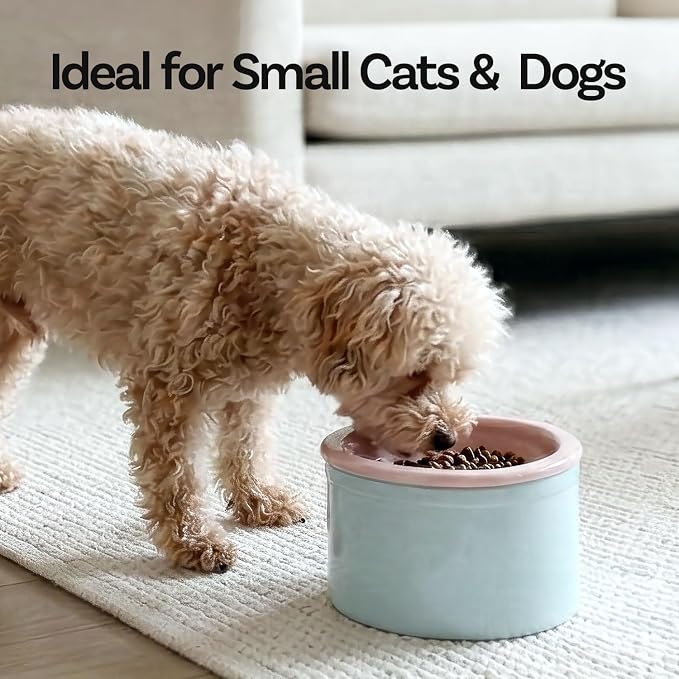Hello Bowl Elevated Ceramic Cat Bowl with Stand, Raised Whisker-Friendly Feeding Bowl for Cats & Small Dogs, Patented Design, Made in Korea (Gray, Round Only/Wet)