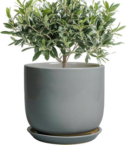 Ceramic Planter for Indoor Outdoor Plants - Cylinder Decorative 8 Inch Plant Pot with Drainage Hole and Saucer, Modern Home Decor, Gray