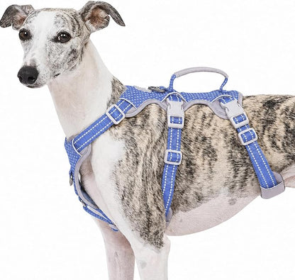 Escape Proof Dog Harness, No Pull Reflective Harness with Lift Handle, Adjustable Pet Vest with Front and Back Leash Clips for Small Medium Large Dogs Walking Hiking Training (Vista Blue,L)