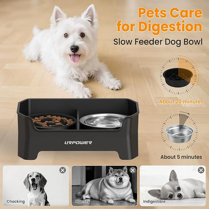 URPOWER 3-in-1 Elevated Dog Bowls - Mess Proof Double Deck 4 Height Adjustable Raised Stand with 2 Stainless Steel Food Bowls & 1 Slow Feeder for Small Dogs