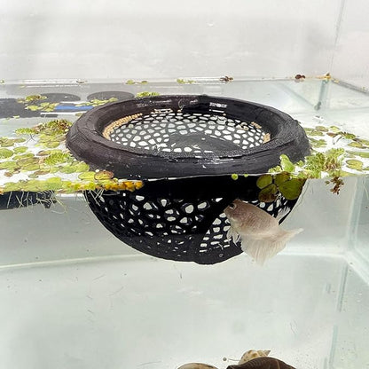Aquarium Floating Betta Fish Skins, Betta or Shrimp Feeder, Cave and Hammock, Small Fish Feeding Rings, Aquarium Hiding Feeding Decorative Accessories (Black)
