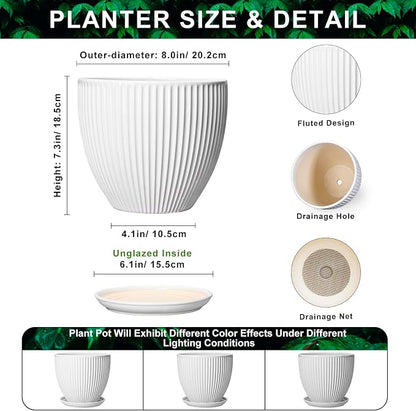 8 Inch Plant Pot, Ceramic Planters for Indoor Plants, Round Pots for Plants with Drainage Hole and Saucer, Modern Decorative Flower Pots, Office Bedroom Decor, Gifts for Plant Lovers, White