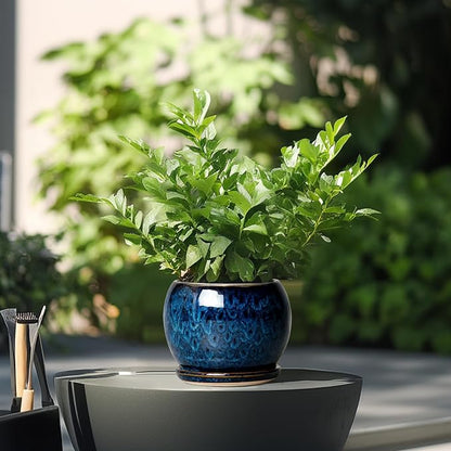 SQOWL 6 Inch Plant Pot - Ceramic Planter Pot with Drainage Hole and Saucer, Succulent Pot Round Flower Pot for Indoor Plants Outdoor, Blue